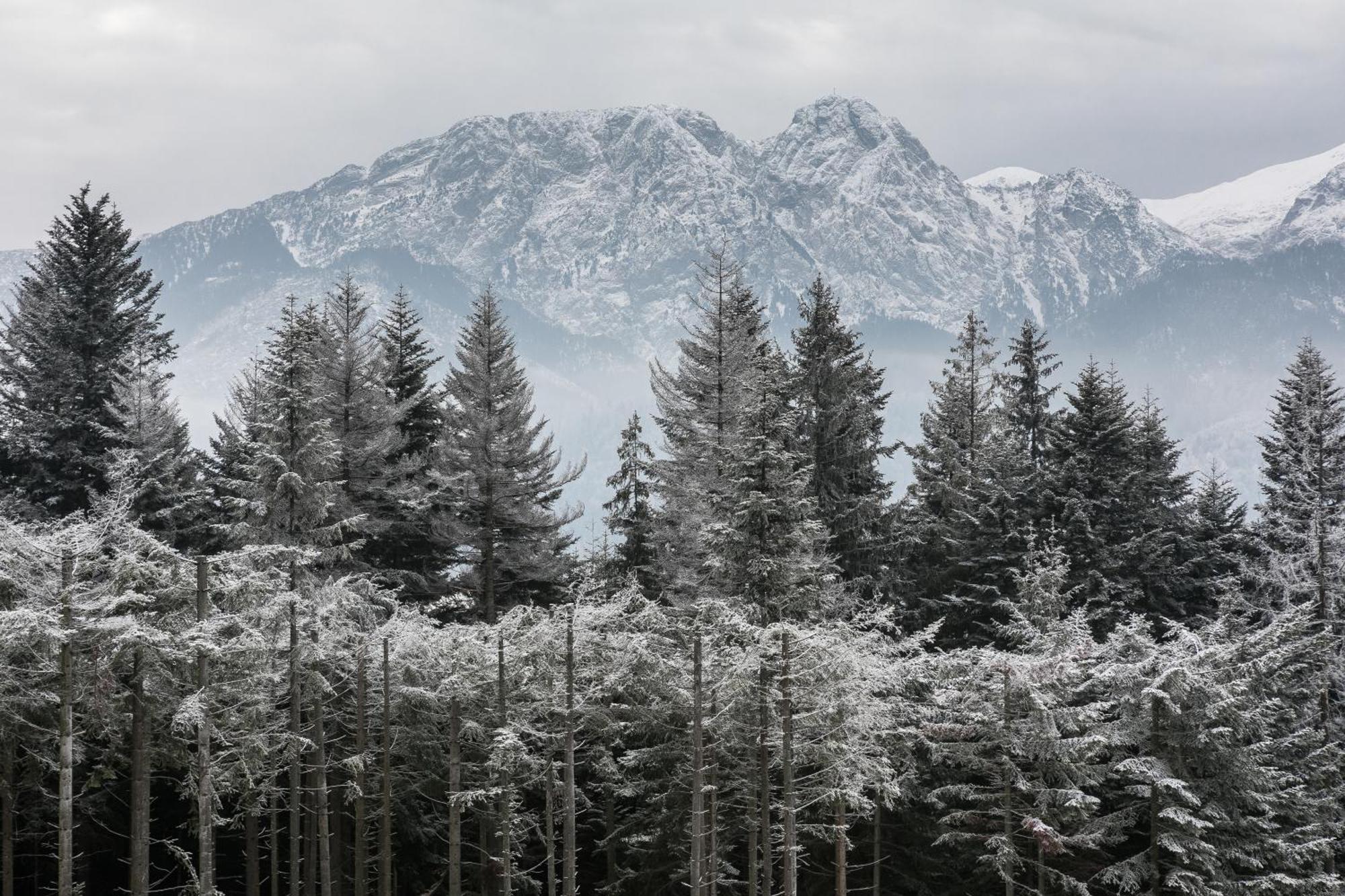 Rent Like - Hidden Hill Szymaszkowa 12 Zakopane